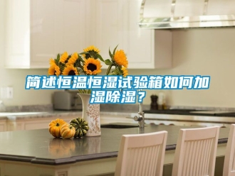知識(shí)百科簡(jiǎn)述恒溫恒濕試驗(yàn)箱如何加濕除濕？