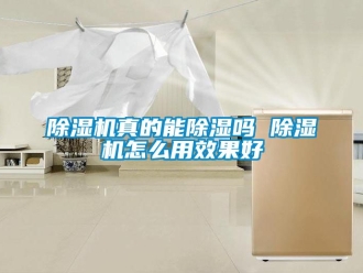 行業(yè)新聞除濕機(jī)真的能除濕嗎 除濕機(jī)怎么用效果好