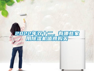 常見問題2022年雙十二，有哪些家用除濕機值得購買