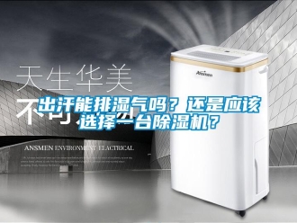 常見問題出汗能排濕氣嗎？還是應該選擇一臺除濕機？
