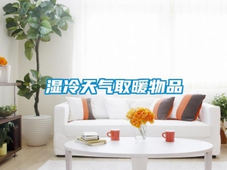 知識百科濕冷天氣取暖物品
