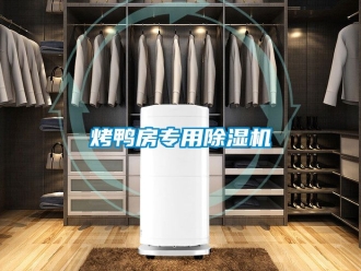 行業新聞烤鴨房專用除濕機