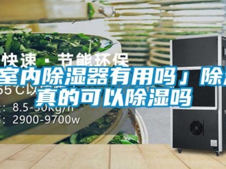 企業新聞「室內除濕器有用嗎」除濕機真的可以除濕嗎
