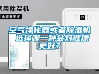 行業新聞空氣凈化器或者除濕機 選擇哪一種會對健康更好？