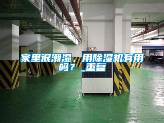行業新聞家里很潮濕，用除濕機有用嗎？_重復