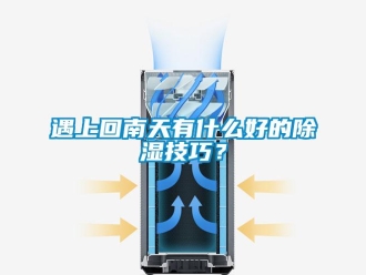 知識百科遇上回南天有什么好的除濕技巧？