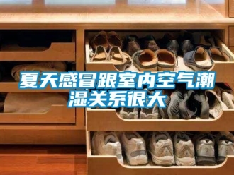 知識百科夏天感冒跟室內空氣潮濕關系很大
