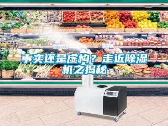 知識百科事實還是虛構？走近除濕機之揭秘