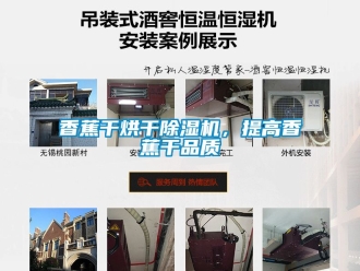 行業(yè)新聞香蕉干烘干除濕機，提高香蕉干品質(zhì)