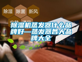 企業新聞除濕機蒸發器什么品牌好—蒸發器各大品牌大全