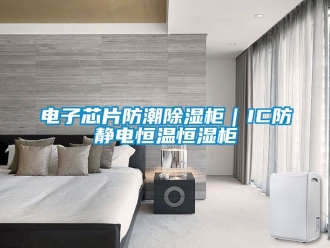 知識百科電子芯片防潮除濕柜｜IC防靜電恒溫恒濕柜