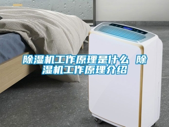 行業新聞除濕機工作原理是什么 除濕機工作原理介紹