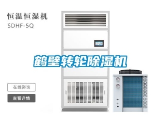 常見問題鶴壁轉(zhuǎn)輪除濕機(jī)