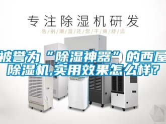 企業(yè)新聞被譽(yù)為“除濕神器”的西屋除濕機(jī),實(shí)用效果怎么樣？