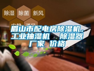企業新聞眉山市配電房除濕機，工業抽濕機  除濕器廠家 價格