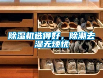 企業新聞除濕機選得好，除潮去濕無煩憂