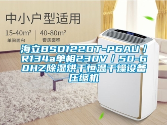 知識百科海立BSD122DT-P6AU／R134a單相230V／50-60HZ除濕烘干恒溫干燥設備壓縮機