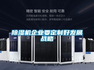 常見(jiàn)問(wèn)題除濕機(jī)企業(yè)要定制好發(fā)展戰(zhàn)略
