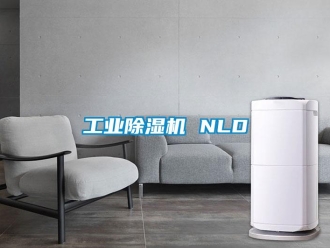 企業(yè)新聞工業(yè)除濕機 NLD