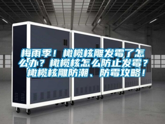 常見問題梅雨季！橄欖核雕發霉了怎么辦？橄欖核怎么防止發霉？ 橄欖核雕防潮、防霉攻略！