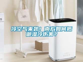 常見問題冷空氣來襲！南方如何抵御濕冷傷害？