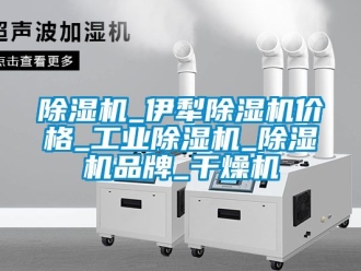 常見問題除濕機_伊犁除濕機價格_工業除濕機_除濕機品牌_干燥機