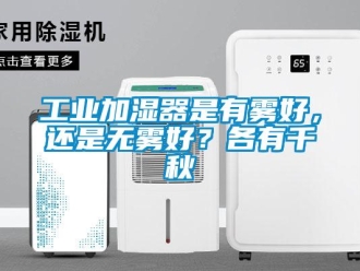 企業(yè)新聞工業(yè)加濕器是有霧好，還是無(wú)霧好？各有千秋