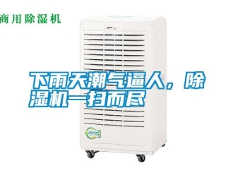 知識百科下雨天潮氣逼人，除濕機一掃而盡