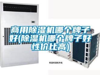 常見問題商用除濕機哪個牌子好(除濕機哪個牌子好性價比高)