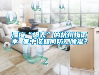 常見問題濕度“爆表”的杭州梅雨季 家中該如何防潮除濕？