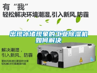 常見問題出現冰堵現象的工業除濕機如何解決