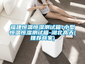 知識百科福建恒溫恒濕測試箱-小型恒溫恒濕測試箱-湖北高天(推薦商家)