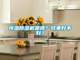 知識百科恒溫除濕機是啥？效果好不好？