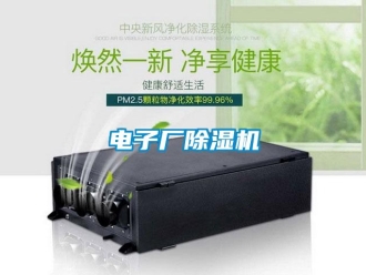 企業(yè)新聞電子廠除濕機(jī)