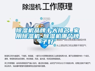 企業新聞除濕機品牌十大排名_家用除濕機_除濕機哪個牌子好