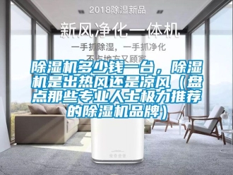 企業(yè)新聞除濕機(jī)多少錢一臺，除濕機(jī)是出熱風(fēng)還是涼風(fēng)（盤點那些專業(yè)人士極力推薦的除濕機(jī)品牌）