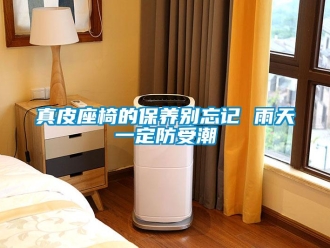 知識(shí)百科真皮座椅的保養(yǎng)別忘記 雨天一定防受潮
