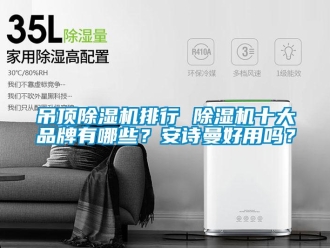 企業新聞吊頂除濕機排行 除濕機十大品牌有哪些？安詩曼好用嗎？