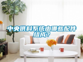 知識百科中央供料系統由哪些配件組成？