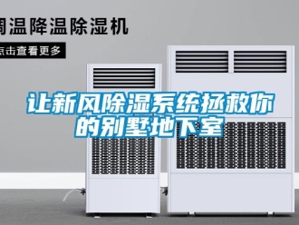 行業(yè)新聞讓新風(fēng)除濕系統(tǒng)拯救你的別墅地下室