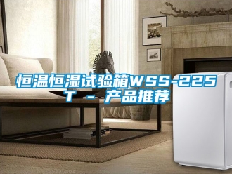 知識百科恒溫恒濕試驗箱WSS-225T - 產品推薦