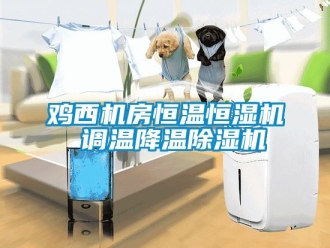 知識百科雞西機房恒溫恒濕機 調溫降溫除濕機