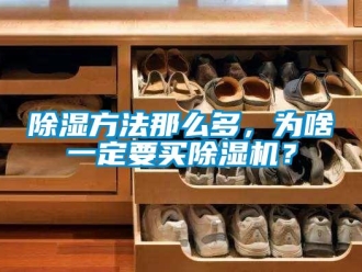 常見問題除濕方法那么多，為啥一定要買除濕機？
