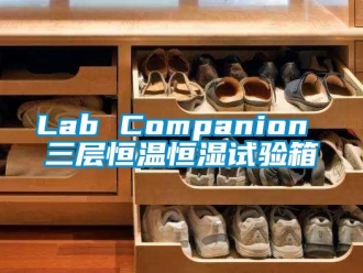 常見問題Lab Companion 三層恒溫恒濕試驗箱