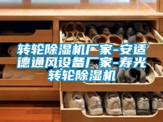 企業新聞轉輪除濕機廠家-安適德通風設備廠家-壽光轉輪除濕機