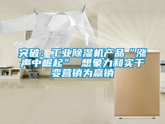 知識百科突破：工業(yè)除濕機產(chǎn)品“漲聲中崛起” 想象力和實干變營銷為贏銷