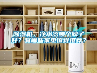 企業新聞除濕機，凈水器哪個牌子好？有哪些家電值得推薦？