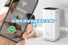 恒溫恒濕試驗(yàn)箱非標(biāo)定制廠家
