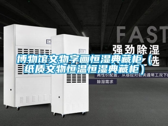 知識百科博物館文物字畫恒濕典藏柜（紙質文物恒溫恒濕典藏柜）