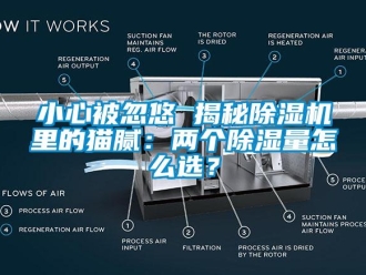 行業新聞小心被忽悠 揭秘除濕機里的貓膩：兩個除濕量怎么選？